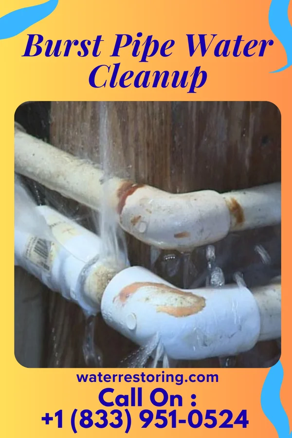 Burst Pipe Water Cleanup in Decatur, NE