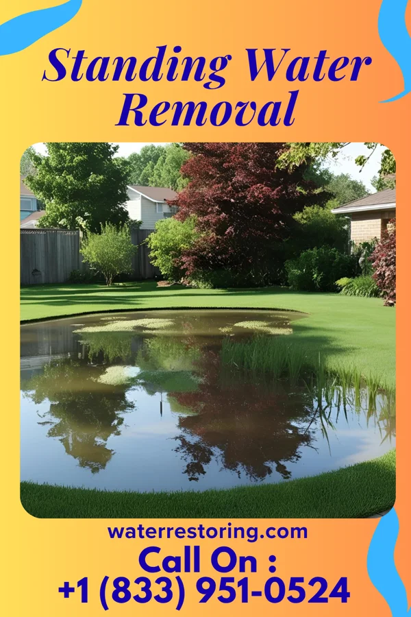 Standing Water Removal in Decatur, NE